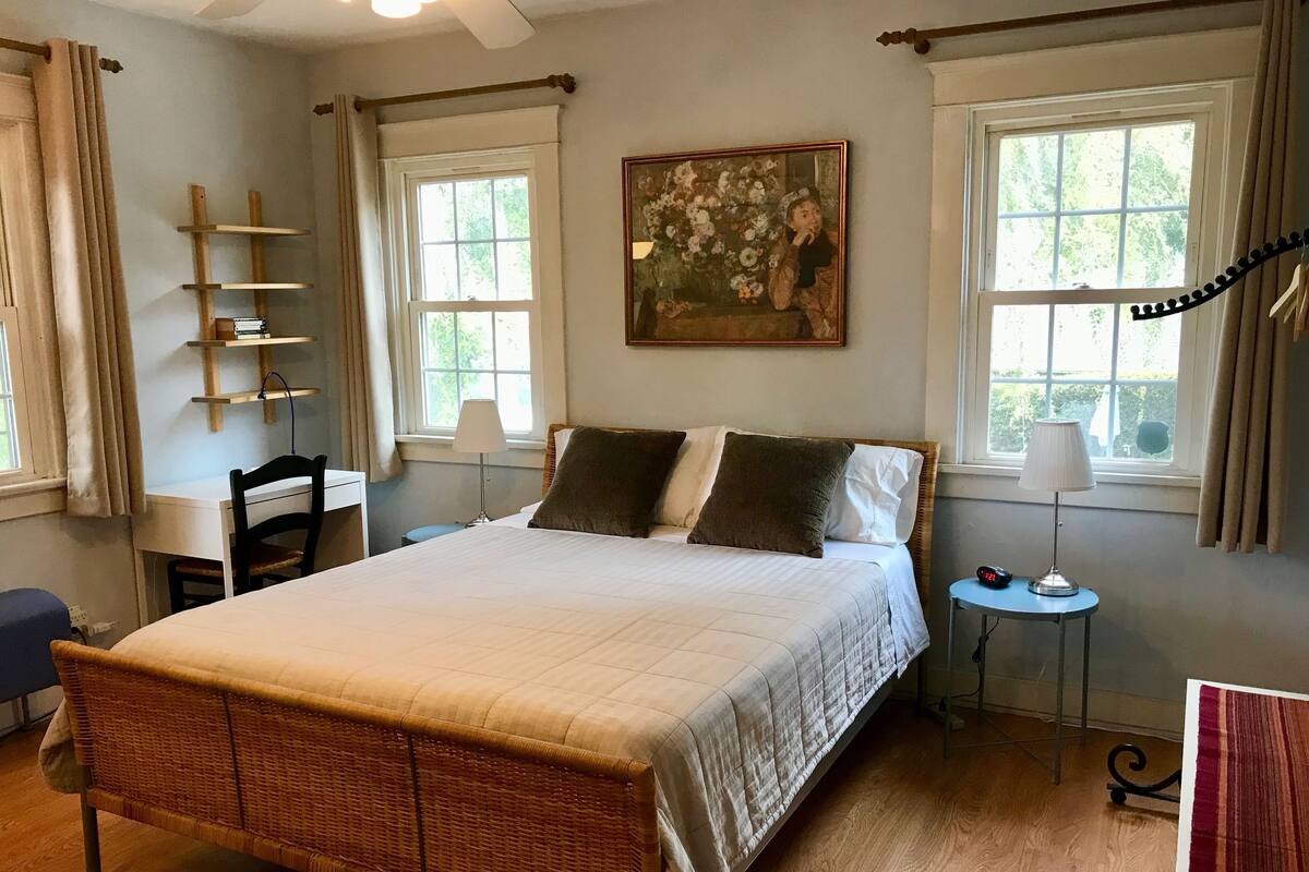 Standard Single Room, 1 Queen Bed, Non Smoking, Garden View | Blackout drapes, iron/ironing board, free WiFi, bed sheets