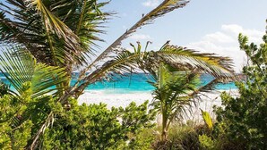 Un sentier qui mène à une plage bordée de palmiers et où l’eau est d’un bleu cristallin.