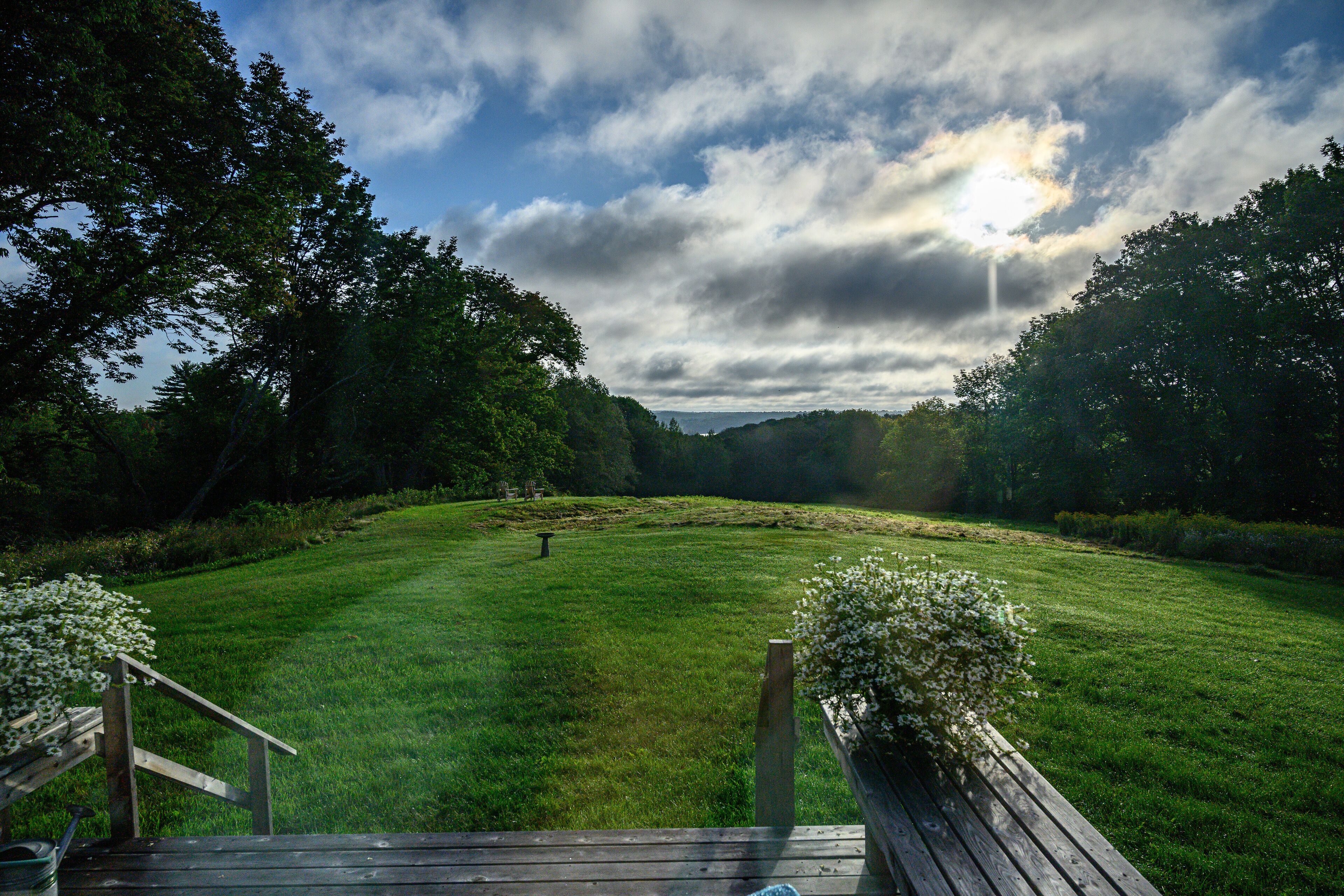 A grassy field with a wooden deck and flower arrangements.