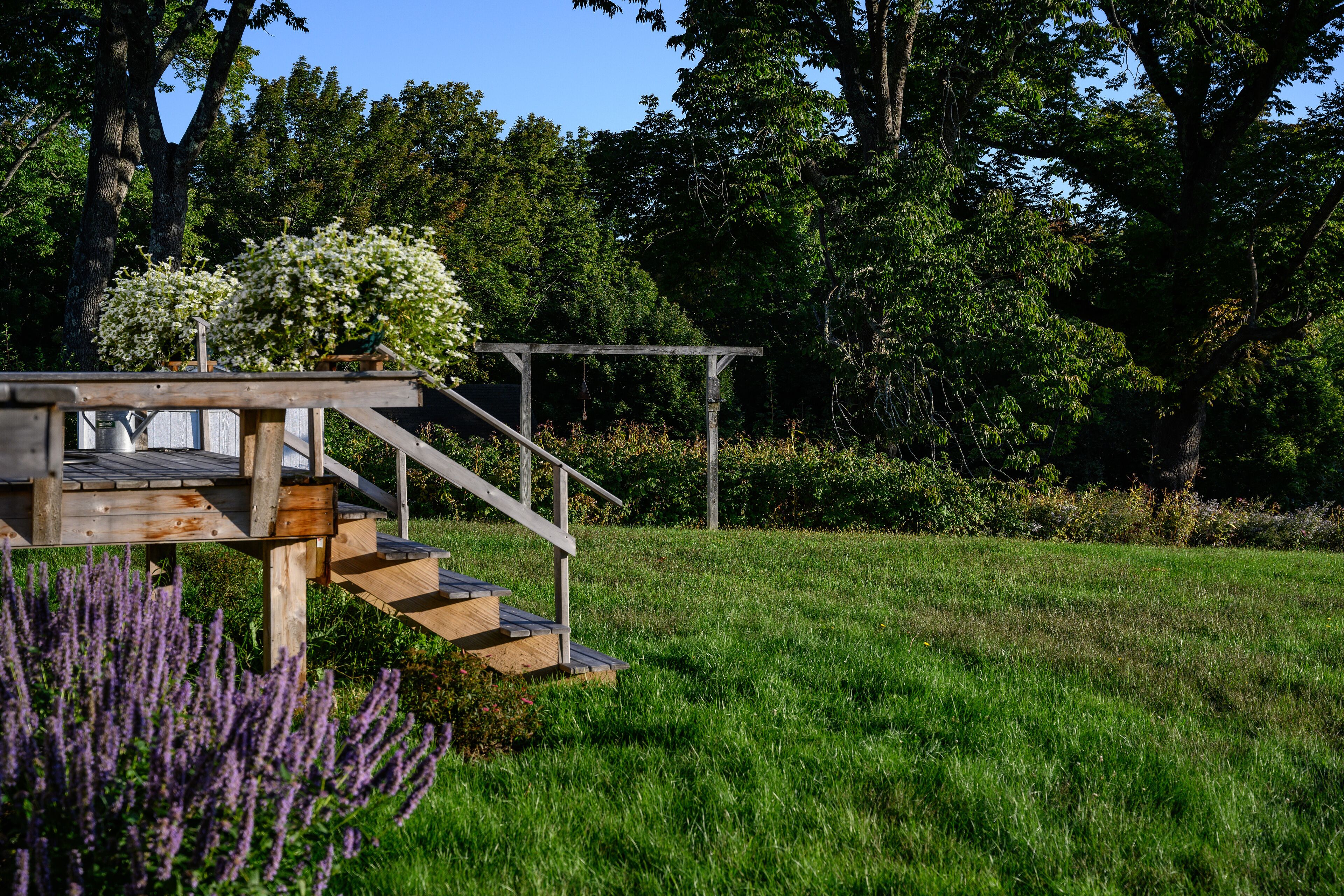 Una pérgola de madera con una escalera que sube a una terraza, rodeada de abundante vegetación y plantas de lavanda.