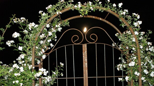A wrought iron gate with white flowers, set against a dark background. - Find a piece of Heaven at the Spirit of Curlew Lake (Republic)