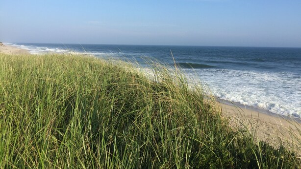 A beach with waves, grassy dunes, and a clear sky. - BEAUTIFUL COTTAGE on ORANGE ST, WALK TO MAIN STREET! (Nantucket)