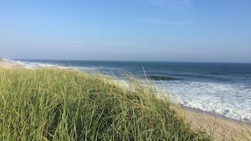 Chaises longues, serviettes de plage