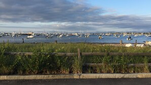A marina with numerous boats docked, surrounded by greenery and a wooden fence. - BEAUTIFUL COTTAGE on ORANGE ST, WALK TO MAIN STREET! (Nantucket)