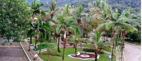 A landscaped area with palm trees and a circular garden, surrounded by a brick pathway and a road with a speed limit sign.