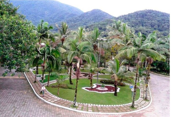 Un área ajardinada con palmeras y un jardín circular, rodeada por un camino de ladrillo y una carretera con un cartel de límite de velocidad.