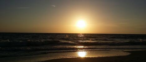 Plage à proximité, chaises longues, serviettes de plage