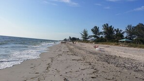 A beach with a sandy shore, some vegetation, and a few people.