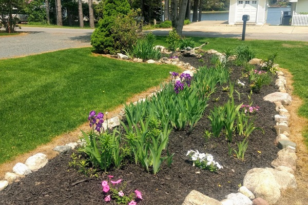 Jardines del alojamiento