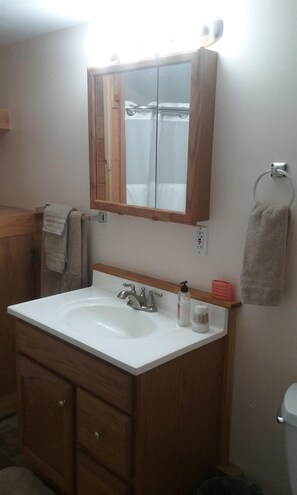 Combined shower/tub, hair dryer, towels, soap - White Mountain Serenity! (Rumney)