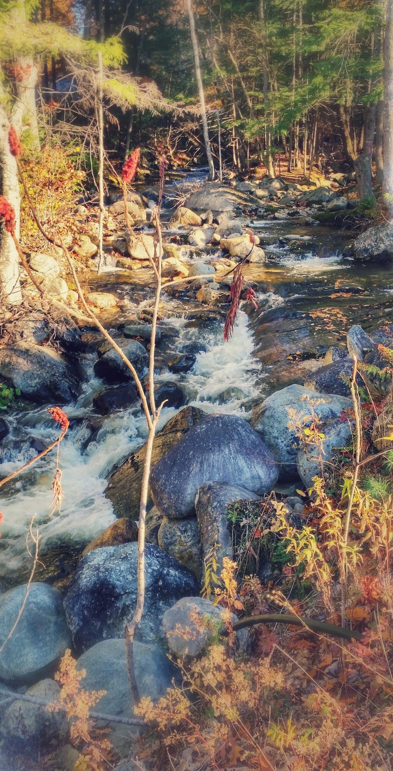 A natural outdoor scene with a flowing stream, rocks, and vegetation.