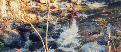A natural outdoor scene with a flowing stream, rocks, and vegetation.