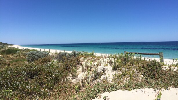 Una playa con una valla de madera y vegetación al frente.