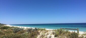 Bigorneau de la plage