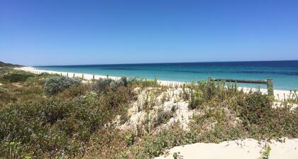 Periwinkle By The Beach