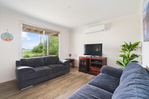 TV, DVD player, books, music library