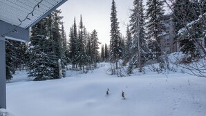 Un paysage enneigé avec un bâtiment et des arbres.