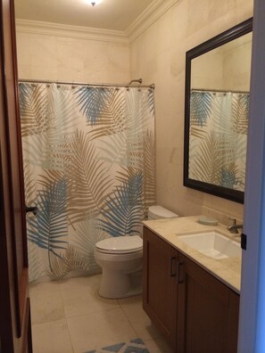 Combined shower/bathtub, jetted bath, hair dryer, towels