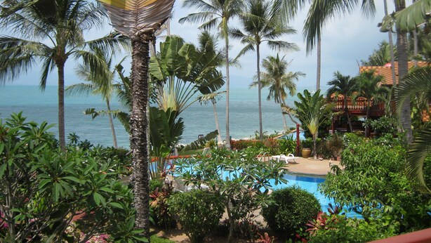 A pool area surrounded by palm trees and a view of the ocean. - Beautiful 4 Bed Thai Style Villa ideal for all the family (Koh Samui)