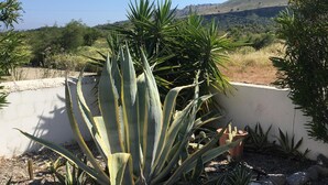 A desert garden with agave plants and a mountain in the background. - Nineteen 5* reviews. Book 2025 now (Lardos)
