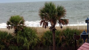 Blick auf einen Strand mit Palmen und einem Zaun.