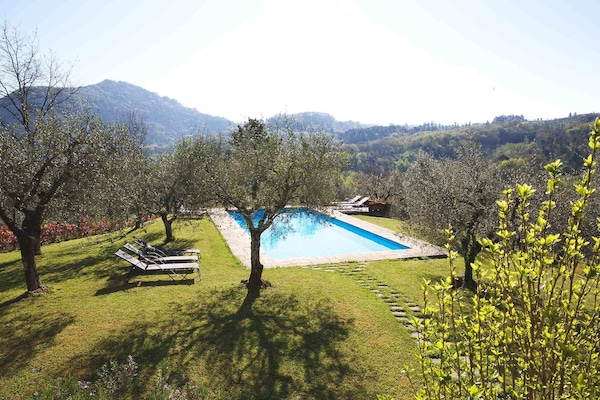 Private swimming pool, sun loungers & olive trees, panoramic 360 views
