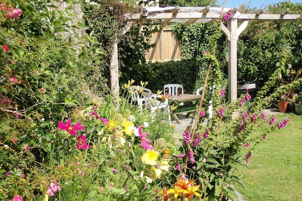 South facing, sheltered garden