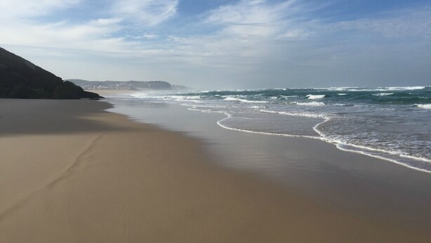 A beach with waves approaching the shore, a clear sky, and distant landforms.
