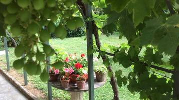 A garden area with a pergola structure, potted plants, and a stone table.