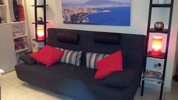 Smart TV, lettore DVD, libri, biblioteca musicale