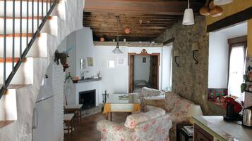 TV connectée, cheminée, livres