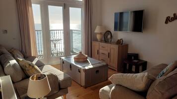 智能電視、DVD 播放機、書籍、影像庫