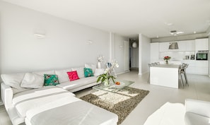 TV, DVD player - Stunning renovated penthouse apartment with panoramic seaview and big terrace (Villefranche Sur Mer)
