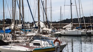 Un puerto deportivo con varios veleros amarrados, agua tranquila y cielo despejado.