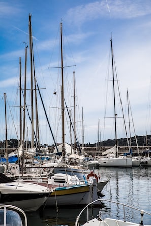 Marina - Stunning renovated penthouse apartment with panoramic seaview and big terrace (Villefranche Sur Mer)
