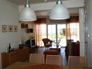 Smart TV, fireplace, DVD player, books