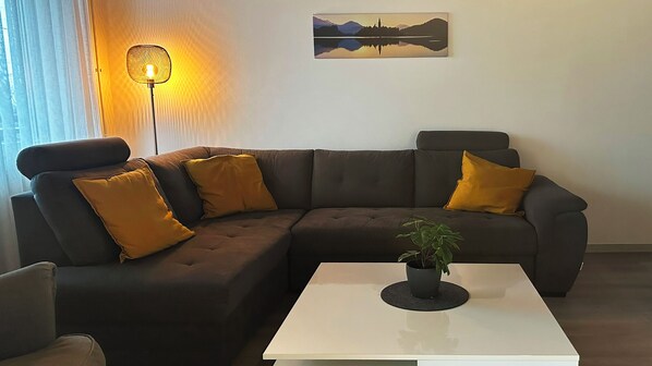 Smart TV, DVD player, books