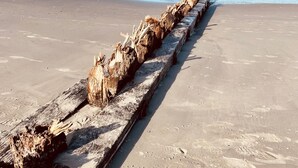 A beach with a wooden structure extending into the water. - Luxury vacation rental centrally located and close to the beach. Wi-Fi free. (Norderney)
