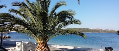 Una playa cerca