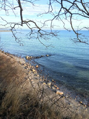 Ranta