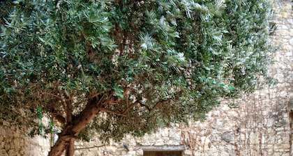 Vieux de 200 ans, grande maison de ville avec terrasse romantique