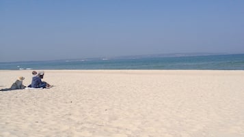Playa en los alrededores y camastros