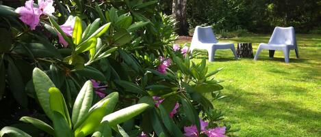 Terrein van de accommodatie