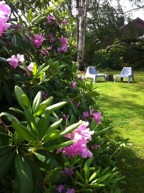 Property grounds - The special holiday home with great attention to detail (Oelstorf)