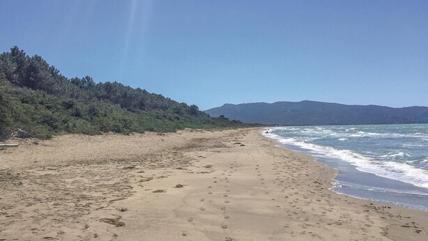 A beach with a clear sky, sandy shore, and a forested hill in the background. - Beautiful home in Orbetello -GR- (Orbetello -GR-)