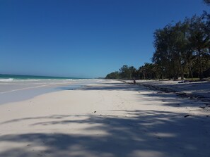 Playa en los alrededores, camastros y toallas de playa 