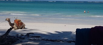 Villa LeoMar: Exclusive vacation home with pool & garden, 350 m from the beach