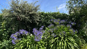 Un jardin agrémenté de diverses fleurs et de plantes vertes.