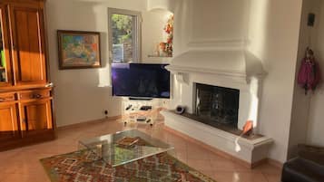 Smart TV, fireplace, DVD player, books