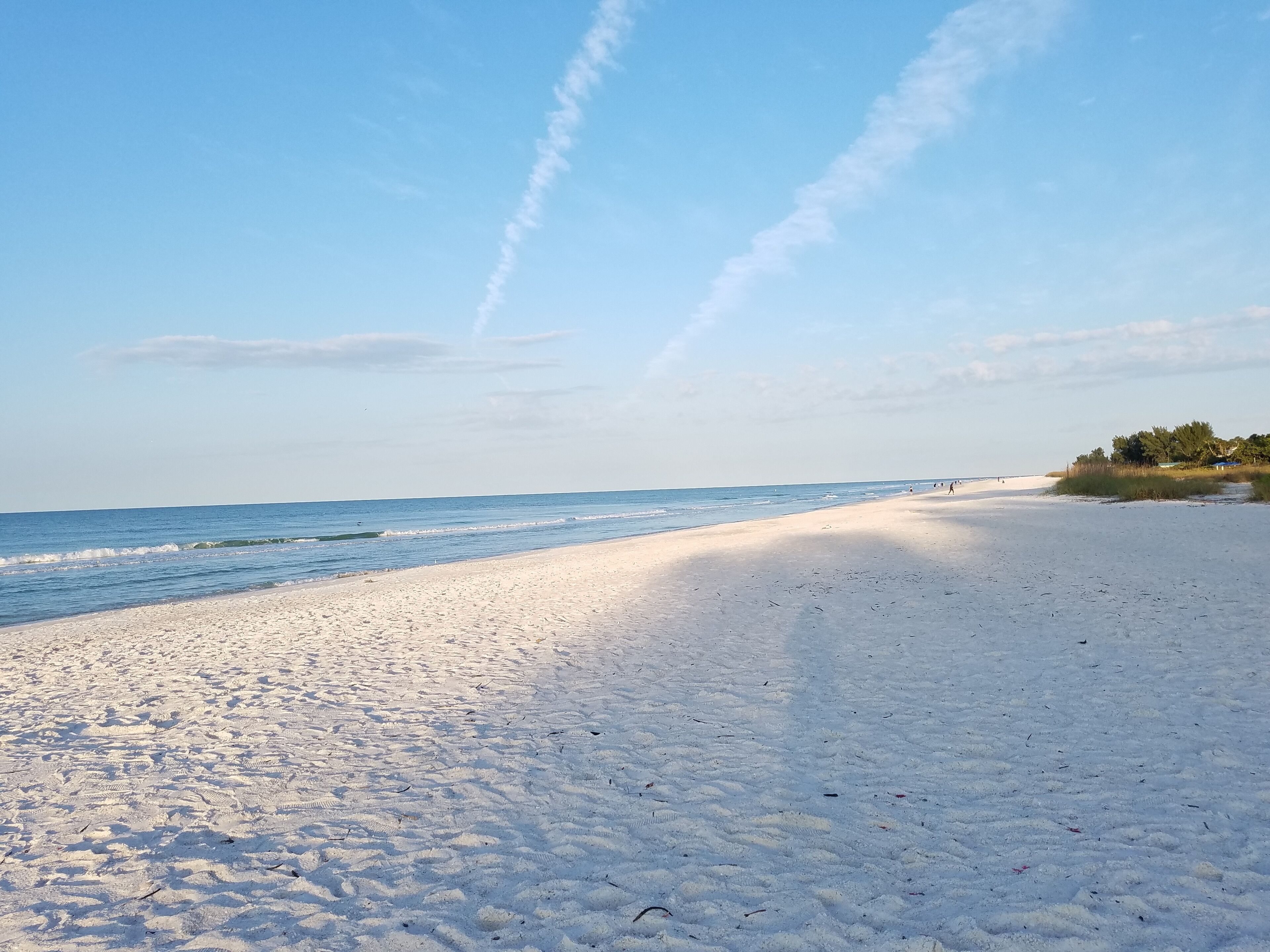 A wide sandy beach with gentle waves, a clear sky, and a distant tree line.